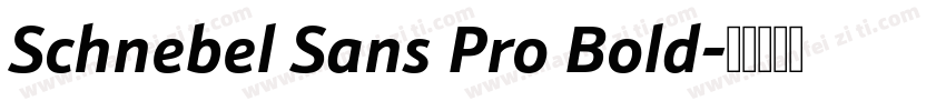 Schnebel Sans Pro Bold字体转换